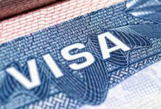 Cara Membuat Surat Sponsor Visa Sesuai dengan Jenis-Jenisnya Paling Mudah dan Praktis