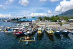 Cara Cek VMS (Vessel Monitoring System) Kapal, Ada 4 Cara yang Harus Kamu Tau