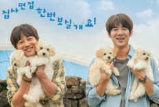 Nonton Film Korea My Heart Puppy (2023) Full Movie HD Sub Indo, Pilihan Antara Menikah dan Hewan Kesayangannya