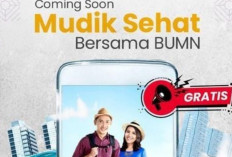 Kabar Gembira! Jadwal Mudik Gratis Bersama Jasa Raharja 2024 Dibuka, Menuju Mudik yang Aman dan Nyaman