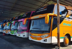 Harga Tiket dan Jadwal Bus Efisiensi Terbaru 2023, Catat Agar Tidak Ketinggalan!