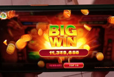 Gratis Chip 45B! Pola Room FaFaFa Higgs Domino dan Cara Memainkannya Biar Bisa Jackpot Superwin