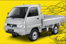 Harga Carry Pick Up Bekas Terbaru 2025, Memiliki Daya Angkut Kuat nan Efektif untuk Usaha!