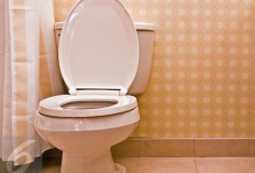 Daftar Pilihan Merk Closet Duduk yang Bisa Jadi Rekomendasi Toilet Rumah