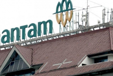 Antam Tebar Dividen Rp3,07 Triliun 100% dari Laba Bersih, Harga Saham ANTM Pun Ikut Menghijau!