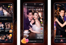 ShortBox 2025 Apakah Terbukti Membayar? Cek Ulasan Pengguna Waspada Scam!