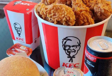 Alamat Cabang KFC Pontianak, Nikmati Ayam Krispi Dengan Ragam Menu Beragam