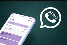 Perbedaan WhatsApp GB dan WhatsApp Aero Apakah Aman? Cek Fitur Lengkap Keduanya Berikut Ini