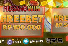 Cara Login Musangwin Situs Slot Online yang Lagi Viral Usai Higgs Domino Island Ditutup, Cek Apakah Penipuan Atau Bukan 