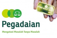 Review Investasi Emas di Pegadaian, Jual Beli Emas24 Karat Lewat Fasilitas Layaknya Menabung