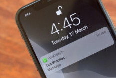 Cara Merubah Nada Dering WA Sebut Nama Pemanggil Tanpa Aplikasi di Anroid dan iOS 