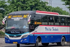 Harga Tarif Tiket Bus Pelita Indah Trenggalek - Surabaya Terbaru 2023, Lengkap dengan Jam Keberangkatan!