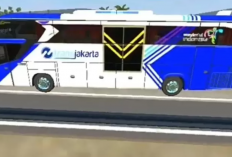 Download Livery BussID Transjakarta Format PNG/JPG Terbaru 2024 Gratis, Bikin Keren Kendaraanmu & Mirip Asli 99%!
