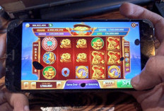 Update Harga Bongkaran Chip Higgs Domino Desember 2023, Jelang Akhir Tahun Obral Harga Termurah!