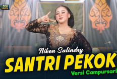 Download Lagu Santri Pekok Versi Campursari - Niken Salindry, Mp3 Mp4 Gratis!