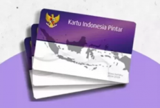 Update! Cara Cek PIP Kemdikbud Terbaru Juni 2024, Alokasi Biaya Bantuan Pendidikan Hingga Rp1 Juta