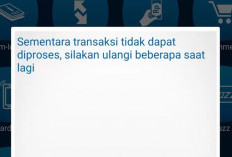 Layanan BI-Fast Error Sampai Kapan? Update Hari Ini 2024! Cek Disini Informasi Terbarunya