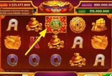 1 Menit Lalu! Update Kode Rahasia JP Higgs Domino Selasa 5 Desember 2023, Dapatkan hingga 1b Tanpa Modal!
