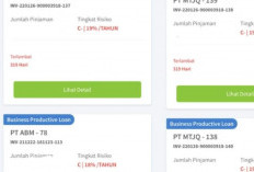 Viral Kasus Gagal Bayar Investree Mau Gulung Tikar, Bos Besar Langsung Buka Suara: HOAKS