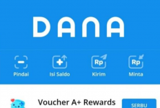 Cara Install 2 Akun DANA di Satu HP Paling Mudah dan Praktis, Transaksi Online Jadi Makin Lancar Jaya