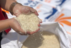 Info Bansos! Cara Cek Penerima Bantuan Beras 10 Kg Terbaru 2024, Pastikan Kalian Jadi Salah Satu Penerimanya!