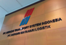 PT Berdiri Matahari Logistik Buka Lowongan Untuk Lulusan SMA/SMK, D3, Hingga S1: Pastikan Melengkapi Syarat Ini!
