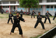 Kumpulan Mentahan Latihan PSHT Siang, Untuk Foto dan Video Percontohan Para Siswa Baru