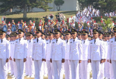 Kuota IPDN 2024 Per Provinsi Lulus Langsung CPNS dan Kuliah GRATIS Segera Daftar Sebelum 13 Juni