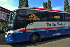 Jadwal Keberangkatan Bus Pelita Indah PP Terbaru 2023, Via Tol Full Service dengan Berbagai Fasilitas!