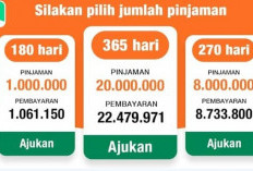 Ini Dia Pinjol Resmi Ojk 2023 yang Punya Bunga Rendah, Bisa Tembus Pinjam 20 Juta!