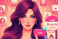 Download HOT51 Mod APK Latest Version 2024, Streaming Kapanpun Gratis Unlocked Semua Room!