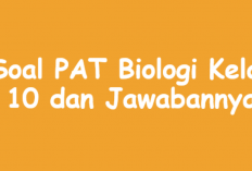 Contoh Soal PAT/UAS Biologi Kelas 10 SMA Semester 2 Tahun 2023, Cocokkan Jawaban dengan Kunci Soal!