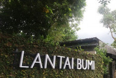 Lantai Bumi Cafe Yogyakarta: Harga Menu, Alamat Lengkap, dan Jam Buka-Tutup Tahun 2023