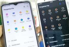 Cara Membuka File Apk di HP Tanpa Aplikasi Tambahan, Bisa Langsung Instal Formatnya