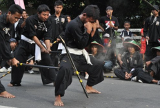 Urutan Sabuk PSHT Tingkat 1, 2, dan 3: Tunjukkan Tingkat Keahlian dari Para Anggota