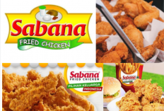 Harga Menu Sabana Fried Chicken Malang Terbaru 2023, Tersedia Paket Duo Jumbo Lebih Murah!