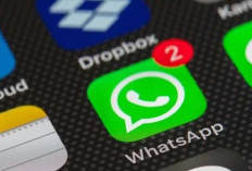 Download Social Spy WhatsApp Hack Latest Version 2024, Memata-matai Orang Tanpa Ketahuan!