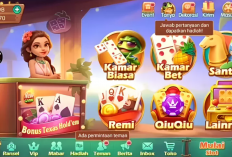 Terbaru! Link Download Higgs Domino MOD APK 2023, Hadir Musik DJ TikTok Ana yang Tampilan Menarik