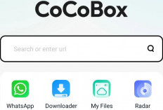 Download CoCoBox Mod APK Latest Version 2024 (Premium Unlocked), No Ads! Unduh Gratis Untuk Android