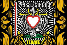 PSHT Singkatan dari Apa? Berikut Profil Organisasi Pencak Silat Populer Indonesia