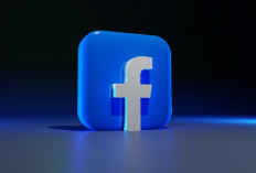 FB Lite Tidak Bisa Login Hari Ini, Ketahui Penyebab dan Cara Ampuh 100% Mengatasinya!