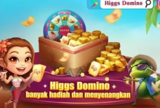 Cara Beli Chip Ungu di Agen Resmi Mitra Higgs Domino 2024, Murah dan Terpercaya!