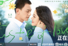 Link Nonton Drama China Taste of Love (2023) Full Episode 1-24 Sub Indo GRATIS, Kisah Cinta Artis dan Anti Fansnya