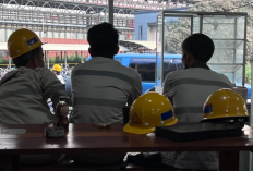 Video Viral Para Pekerja Tambang di Morowali Hebohkan Netizen Usai di Hadang Pocicak Sampai Bikin Penasaran