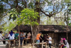 Harga Menu dan Lokasi Warung Semok Iwak Gloso Mbak Sumi yang Viral Jadi Spot Ngadem di Tengah Hutan 
