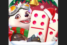 Game Pengganti Alternatif Higgs Domino Sudah Ditemukan Rilis Resmi di Playstore, Keluar Tombol Kirim Dengan Syarat