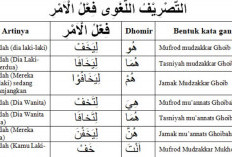 Hukum dan Tasrif Fiil Amar, Para Santri Wajib Hafal Nih Untuk Ujian Diniyah!