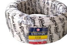 Daftar Harga Kabel Eterna 2x1,5 Per Roll 50 Meter Terbaru 2024 Langsung Cek Update Terbarunya di Sini 