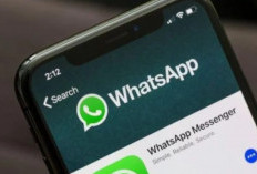 Update Terbaru WhatsApp Error Hari Ini 2024, Sampai Kapan? Simak Juga Cara Membenahinya Disini!