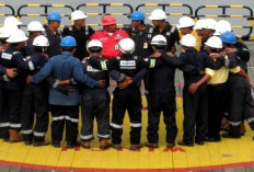 Info Karir di PT Altus Express Logistik Jadi Peluang atau Penipuan? Hati-hati! Bongkar Faktanya Berikut